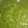 Disha Prashant Chavda's cooksnap of when they made ગ્રીન ચટણી (Green Chutney Recipe In Gujarati).