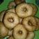 Cooksnap dari Susi TD untuk resep Donat Kentang Anti Gagal
