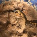 صورة من Dana Atiq، شاركها بعد تجربة وصفة البتر تشيكن ايدام هندي 🥘 👌🏻Butter Chicken, Indian food 🥘