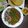 Swati Bharadwaj's cooksnap of when they made ছোলে ভটুরে (chole bhature recipe in Bengali).