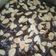 Cooksnap dari Iyus Sugesti untuk resep Cadburry Almond Fudge Brownies