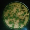 Bina Talati's cooksnap of when they made લાઇવ ઢોકળા (Live Dhokla Recipe In Gujarati).