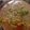 Sumaiya Muddasir's cooksnap of when they made Chicken nyhari.