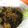 Cooksnap dari Gunawan untuk resep Tumis daun pepaya jepang ga pahit