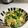 黃婉華 的 小白菜炒蛋 cooksnap