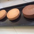 S.Njama's cooksnap of when they made Fluffy Vanilla marble cake.