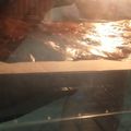 Cooksnap dari Agnes Ballo Linelejan untuk resep Brownies Panggang