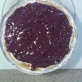 wayde's cooksnap of when they made No bake Blueberry Cheesecake.
