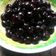 Cooksnap dari Yoeliati Ekarini untuk resep Bubble pearl