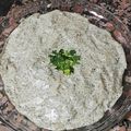 El cooksnap de Macarena Granado cuando hizo Vitel tone vegano.