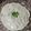 El cooksnap de Macarena Granado cuando hizo Vitel tone vegano.