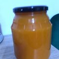 Cooksnap-ul lui Gabriela Mocan atunci când a preparat Nectar din dovleac, mere și fructe citrice.