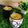 chef Nidhi Bole's cooksnap of when they made બાસુંદી(Basundi in Gujarati).