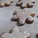 El cooksnap de Paula Andrea cuando hizo Galletas de Navidad.