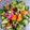El cooksnap de ajlopezd cuando hizo Ensalada detox veggie.