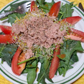 El cooksnap de LuzMa SG cuando hizo Ensalada de Espinacas con atún.