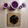 Arpita Shah's cooksnap of when they made જાંબુ શૉટ્સ (Jamun Shots Recipe In Gujarati).