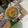 Cooksnap dari Salsabila Putri untuk resep Ikan Gulai Tumis Berkuah Khas Aceh