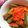 Cooksnap dari Nona Riisa untuk resep Terong balado simple