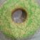 Cooksnap dari Seni Wati untuk resep #02 Bolu pandan Super lembut