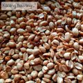 Cooksnap dari Vivi Lestari untuk resep Kacang Bawang Empuk