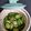 Tabby Cat's cooksnap of when they made Korean Cucumber Salad (Spicy).