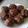 SammyJones's cooksnap of when they made BEST DOUBLE CHOCOLATE CHIP MUFFIN EVER.
