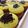Cooksnap dari Hanifa Ummu Karim untuk resep Pukis Sawi Hijau
