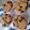Cooksnap dari Rini Felisia untuk resep Morning glory milk muffin mudah dan cepat