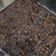 Cooksnap dari Ghazlina Winanda Putri untuk resep Fudge brownies