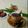Cooksnap dari Agustin Nur Hasanah untuk resep Teh Aroma Pandan