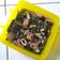 Cooksnap dari Resep Anak Kos untuk resep Cumi Asin Cabe Hijau