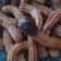 Cooksnap dari ifah marifa untuk resep Churros mini