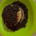 Cooksnap dari Ristin Trihidayati untuk resep Pancake tabur meses dan susu coklat tanpa backing powder