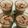 Shree Lakhani's cooksnap of when they made કોલ્ડ કોફી (Cold Coffee recipe in Gujarati).