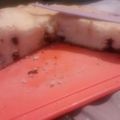 El cooksnap de Camii cuando hizo Torta esponjosa con chips de chocolate.