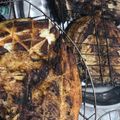 صورة من Kani Bagzada، شاركها بعد تجربة وصفة سمك دينيس مشوي عل الكريل