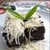Cooksnap dari Resep Viralesti untuk resep Eggless Chocolate Cake