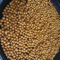 El cooksnap de Rocio Postan cuando hizo Snack Saludable de Garbanzos.