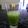 El cooksnap de Danten Marchetto cuando hizo Cóctel daiquiri de albahaca frozen.
