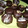 El cooksnap de Jorgelina 🍒 cuando hizo Alfajores de chocolate.