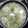 El cooksnap de Floren cuando hizo Merluza en salsa verde con gambas.