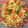 Cooksnap dari Aidz Aidz untuk resep Mie goreng beef dan sosis