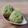 Cooksnap dari Mamake_Wawa untuk resep Tape Ketan Daun Katu (step by step)