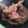 El cooksnap de DelicIANNcook cuando hizo Conejo de monte a la cacerola con vermú y verduras a la mantequilla.