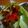 Celina Balerina's cooksnap of when they made Lettuce Wrap Vegan Salad Diet Lunch.