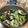 媽編 的 白酒青蔥炒蛤蜊 cooksnap