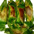 Cooksnap dari Vitriani Adrian untuk resep Lemper rice cooker praktis