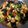 Cooksnap dari astrit untuk resep Sapo Tofu Oriental