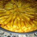 rekete patri's cooksnap of when they made AMIEs APPLE cake.